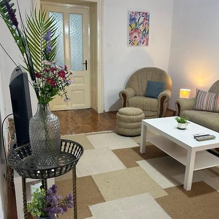 Nf'S Home Lovely Apartment In Heart Of Saraievo Exterior foto