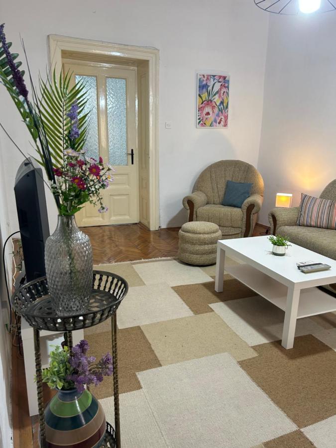 Nf'S Home Lovely Apartment In Heart Of Saraievo Exterior foto